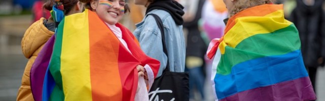 Исследование: почти 40% эстоноземельцев поддерживают однополые браки