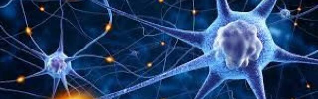 Ученые обнаружили новый источник электричества в клетках человека