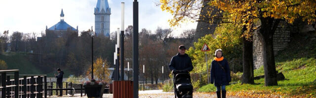 Политическая борьба в Ида-Вирумаа: эксперты называют выборы запутанными и непредсказуемыми