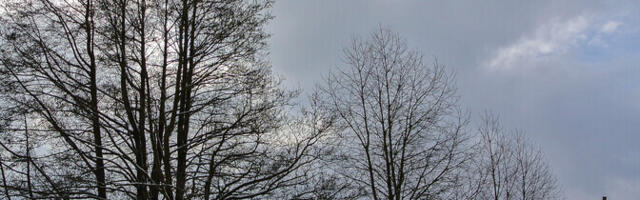 В воскресенье облачно с прояснениями, +1...+5