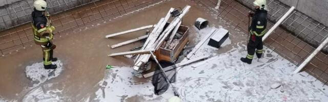 Лисы заселяют не только Нарву, но и Тарту: одну рыжую плутовку пришлось извлекать из котлована стройки