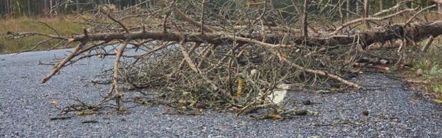 В результате шторма в Эстонии обесточены тысячи домохозяйств
