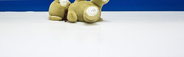 В семье политика годами скрывалось сексуальное насилие над детьми и животными