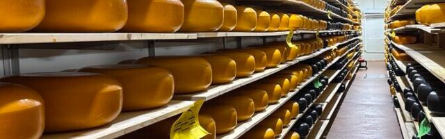 Хозяйка Andre Farm: государство первым претендует на содержимое нашего кошелька