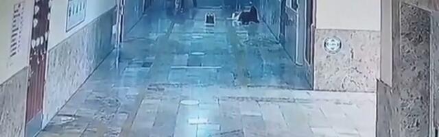 Четыре человека убиты в Турции в результате стрельбы в школе