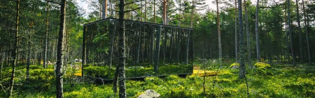 Отдых в Эстонии: стеклянный дом в чаще леса, чтобы скрыться от коронавируса