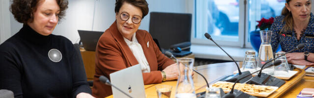 Комиссия по культуре поддержала преобразование ERM в общественно-правовое учреждение