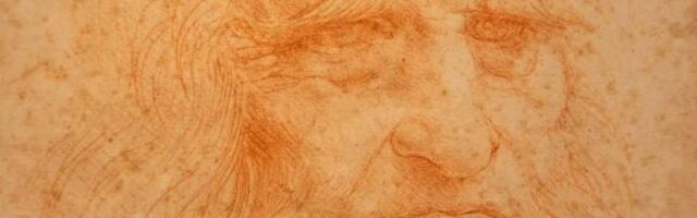 Ученые обнаружили следы ДНК на рисунке предполагаемого авторства Леонардо да Винчи
