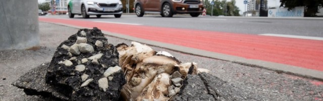 ФОТОНОВОСТЬ | Гриб пробился через толстый асфальт на Пярнуском шоссе в Таллинне