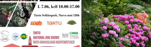 Афиша выходного дня: бесплатные мероприятия на 7-8 июня