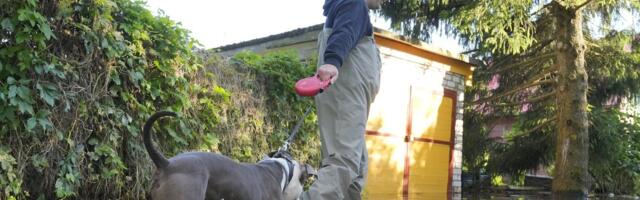 ФОТО | Смотрите, что терпят садоводы Нарвы. Дождь прошел, а последствия тянутся