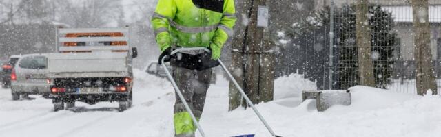 Снежный хаос: как в Таллинне убирают снег и борются с гололедом