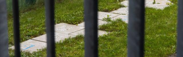 За перевозку беженцев через границу в Латвии жителю Эстонии назначено пять лет тюрьмы