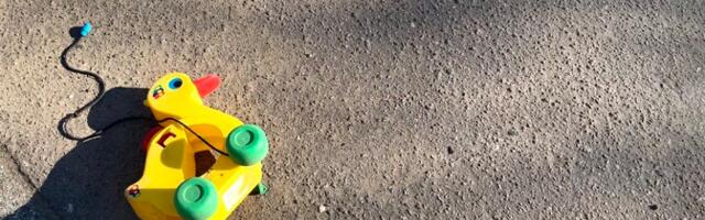 Конный центр прекратил сотрудничество с осужденным за сексуальные преступления против детей