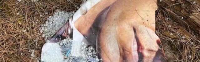 В Нарва-Йыэсуу вандалы повредили инфостенды на "Тропе мудрости"