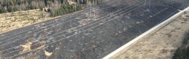 В Ида-Вирумаа горела территория под линиями высокого напряжения