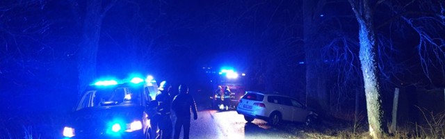 Автомобиль с водителем и тремя детьми врезался в дерево