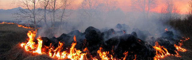 В апреле спасатели тушили 156 пожаров на открытой местности