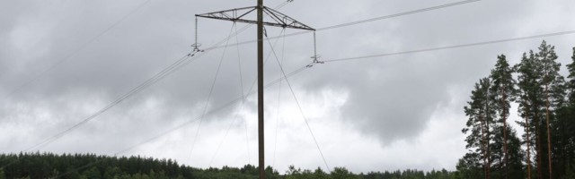 Политики начали борьбу за снижение цен на электроэнергию