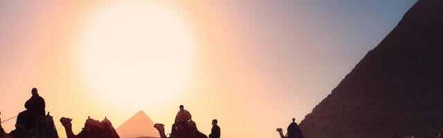 Египет запустил электронную форму декларации здоровья пассажиров