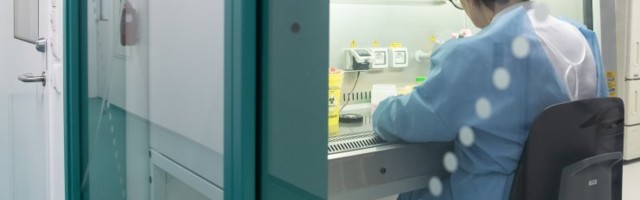 В Австралии объявили об успешном испытании вакцины от COVID-19: препарат не дал побочных эффектов