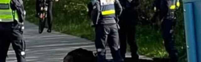 Переполох на пляже Штромки: двое лежат ничком в асфальт, кругом полиция. Что случилось?