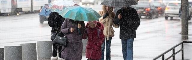 В воскресенье дождь, мокрый снег и снег, -3...+1