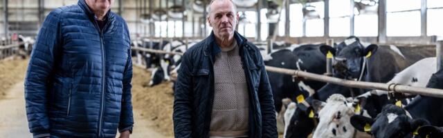 Владельцы Estonia Farmid инвестировали заработанные миллионы в недвижимость и акции