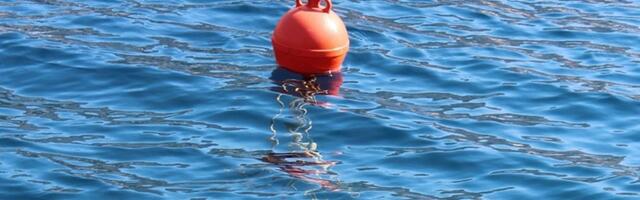 Эстонские ученые обвинили ВМС России в похищении волноизмерительного буя