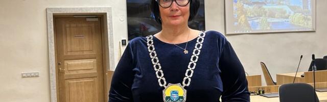 Катри Райк: сокращение чиновников - не панацея, нужно менять систему