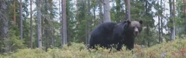 С воскресенья вступают в силу изменения в правилах охоты