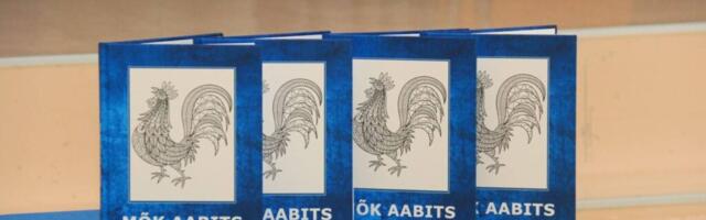 Русскоязычная среда тормозит переход Нарвы на эстоноязычное образование