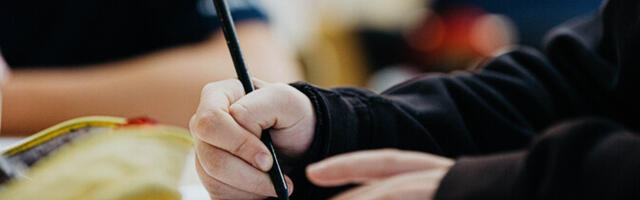 Финская полиция безопасности назвала домашнее обучение детей риском для безопасности