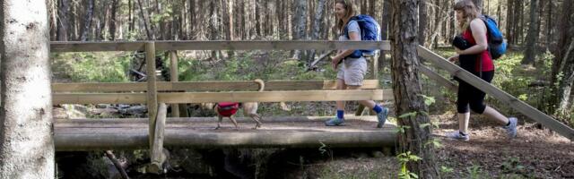 Поход в жару? Десять ошибок, которые люди совершают, отправляясь в поход в знойную погоду