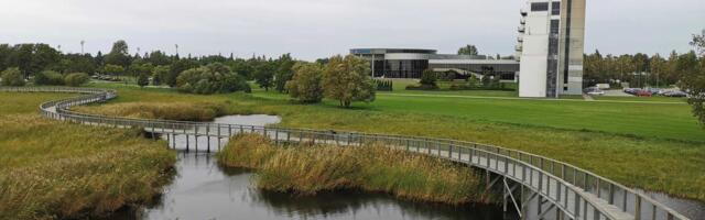 В нескольких эстонских реках Пярнуского уезда замечено большое количество мертвой рыбы