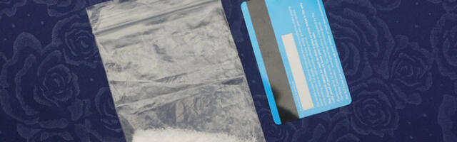 С начала года в Финляндии изъяли более 100 килограммов кокаина