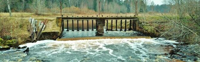 RMK снесет мешавшую нересту плотину Котка