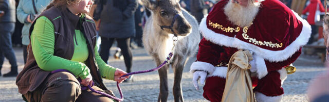 В Германии предотвратили попытку теракта на рождественском рынке
