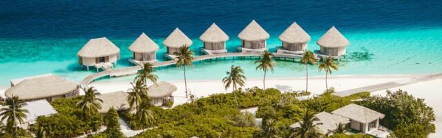 Слой за слоем к истинному «я»: йога-программа по пяти кошам на Мальдивах