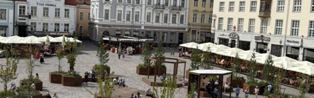 Ратушная площадь расцвела: в центре Таллинна открылся уютный летний парк