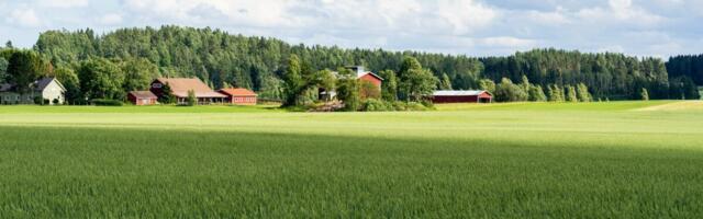 Домик в деревне: государство покроет до 150 000 евро от жилищного кредита в размере 200 000 евро