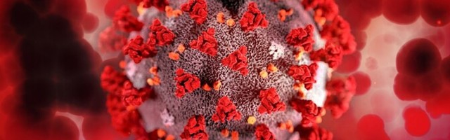 Ученые: коронавирусом могли переболеть до 80% населения Эстонии