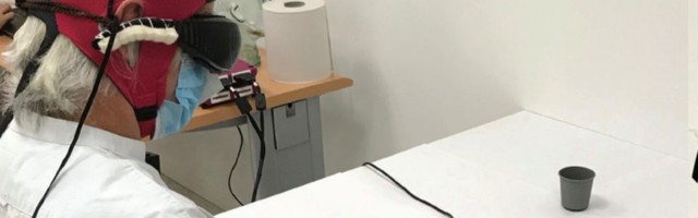 Ученые восстановили зрение человеку, который не видел 20 лет