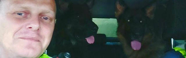 На шоссе Таллинн–Нарва неизвестные высадили из машины двух собак
