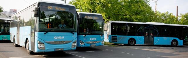 Установлен новый порядок движения пригородных автобусов в районе Балтийского вокзала