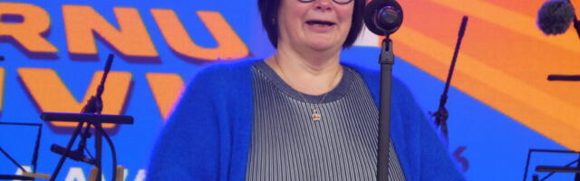 Катри Райк: Навес на границе — это неразумно дорого