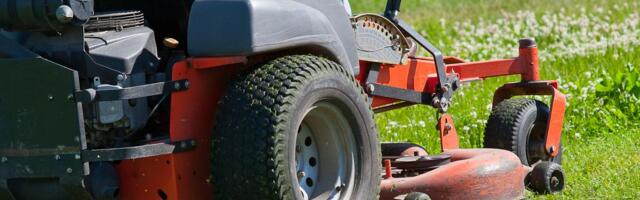 Управа района Ласнамяэ меняет политику покоса травы