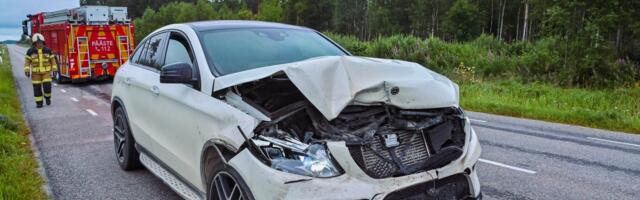 ФОТО | Медведь выбежал на дорогу, чем спровоцировал ДТП