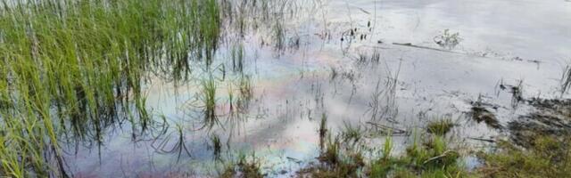 На озере Каритса в волости Рапла зафиксировано загрязнение нефтепродуктами