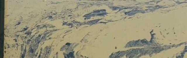 Департамент здоровья обнаружил сине-зеленые водоросли в озере Харку: купаться не рекомендуется